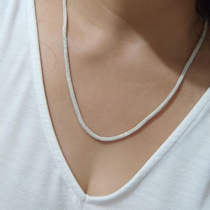 May include: A silver chain necklace with a delicate, snake-like design.