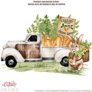 Osterhase TRUCK mit Möhren PNG, Hase Truck Möhren Aquarell Clipart, Süße digitale Sublimation Kunstwerk, Ostern Druckbares Zeichen 5-EAS008