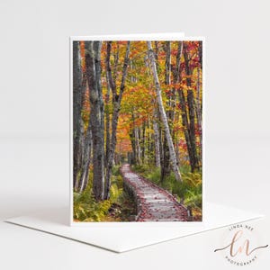 Könnte beinhalten: Eine Grußkarte mit einer Fotografie eines hölzernen Bohlenwegs, der sich im Herbst durch einen Wald schlängelt. Die Bäume zeigen leuchtend gelbes, oranges und rotes Laub, mit abgefallenen Blättern auf dem Weg und grünen Farnen am Boden.