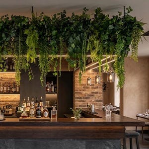 May include: A well-lit bar with a dark wood counter and a stone facade. The bar is stocked with bottles and glassware. Hanging greenery and pendant lights add to the ambiance. A brick wall and shelves display more bottles.