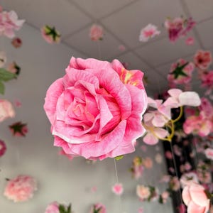 May include: A large, vibrant pink rose is the focal point, surrounded by a multitude of smaller pink flowers and buds. The flowers appear to be suspended, creating a whimsical, floral display. The petals of the rose have a delicate texture.