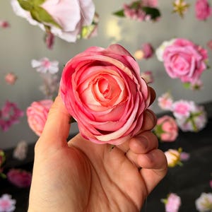 May include: A close-up of a pink and peach rose held in a hand, with other pink and white flowers in the background. The rose has multiple layers of petals, with a lighter color in the center. The background is blurred, with other flowers hanging.