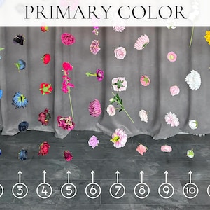 May include: A display of colorful flowers against a gray backdrop. The text "PRIMARY COLOR" is at the top. The flowers are arranged in rows and include various colors such as red, pink, yellow, and blue. Numbers 1-12 are at the bottom.