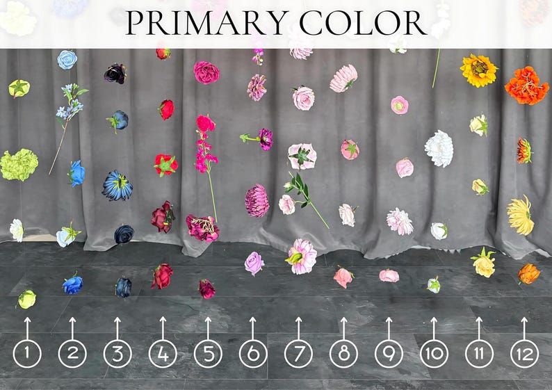 May include: A display of colorful flowers against a gray backdrop. The text "PRIMARY COLOR" is at the top. The flowers are arranged in rows and include various colors such as red, pink, yellow, and blue. Numbers 1-12 are at the bottom.