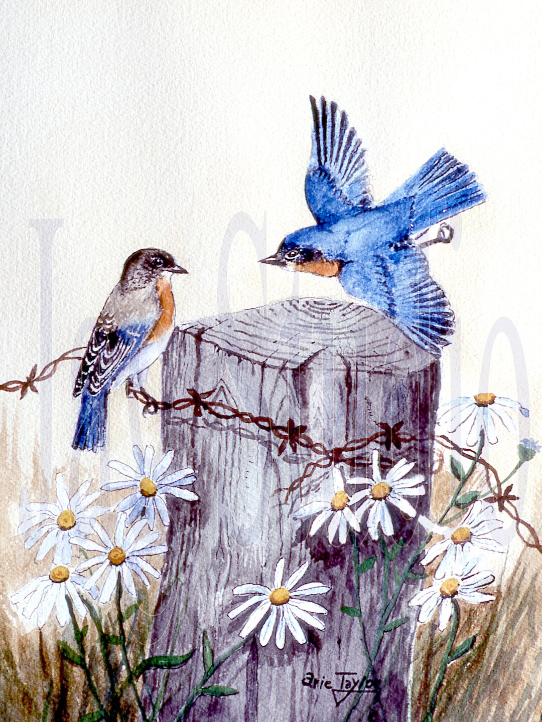 Watercolour Blue Birds Watercolor Print Watercolor Art Fine Etsy 日本