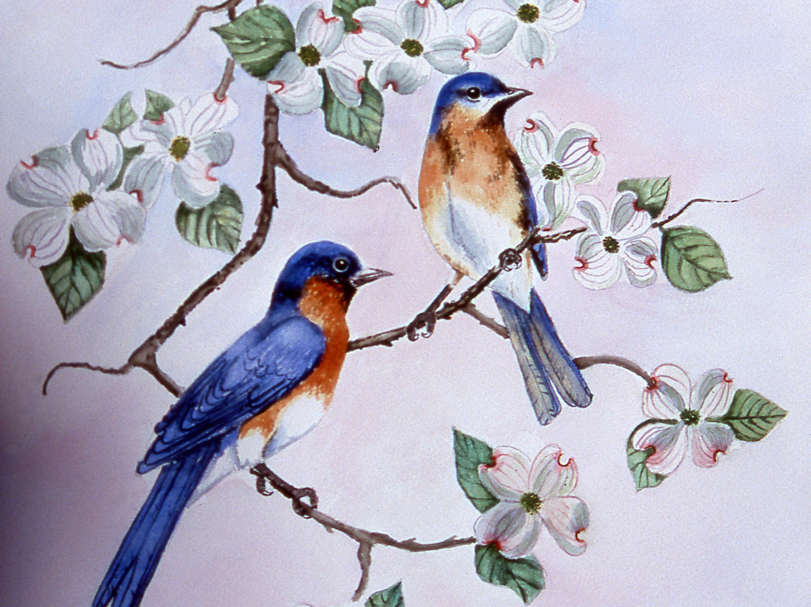 Bluebird Wall Decor Original Art Watercolor Print Dogwood Etsy