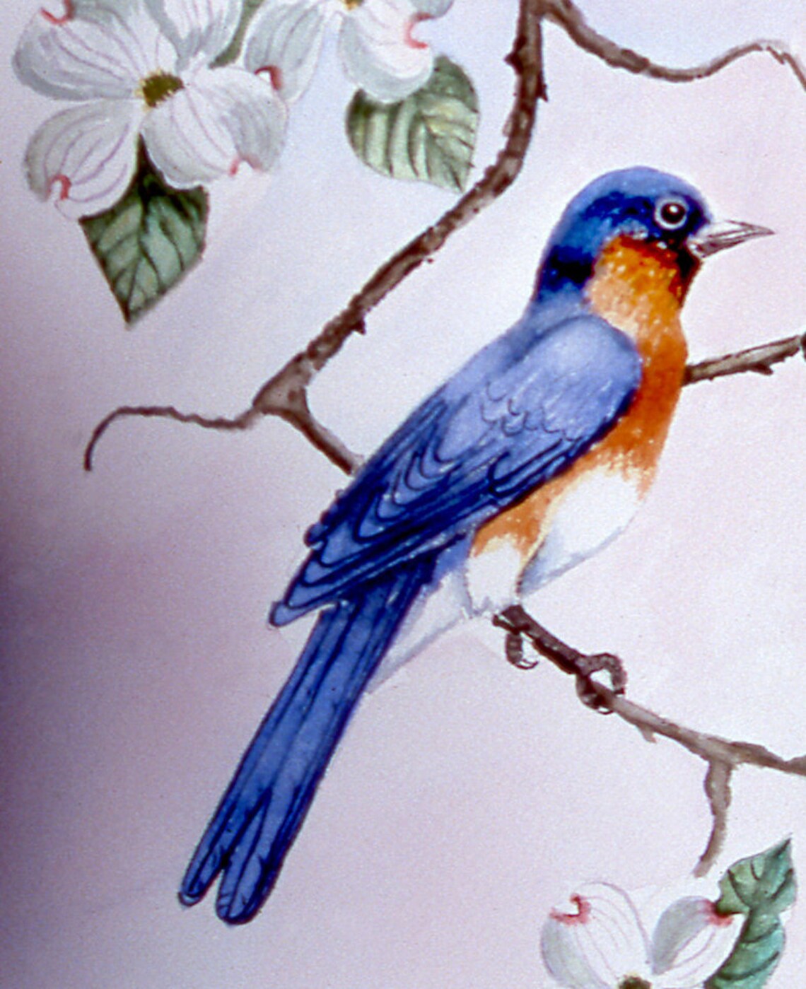 Bluebird Wall Decor Original Art Watercolor Print Dogwood Etsy