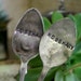 see more listings in the Garden Markers / Silver section