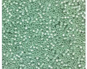 May include: A large collection of small, round, mint green glass seed beads. Each bead features a smooth, opaque finish and a central hole, arranged in a dense, uniform pattern that fills the entire frame with a consistent light green color.