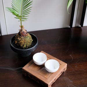 May include: Two white ceramic teacups on a wooden tray with intricate carvings. The tray is on a dark wood table with a small potted plant in the background.
