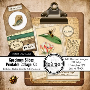 Digital Printable Specimen Slides Collage Kit Vintage Themed Slide Collage Kit Junk Journal Traveler&#39;s Journal Digital Download