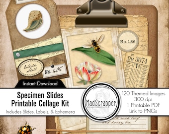 Digital Specimen Slides Collage Kit: Vintage Themed Slides Ephemera for Journals (Digital Download)