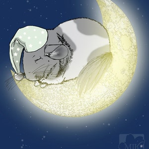 May include: A white chinchilla wearing a light blue and white sleep cap is sleeping on a crescent moon against a dark blue starry night sky.