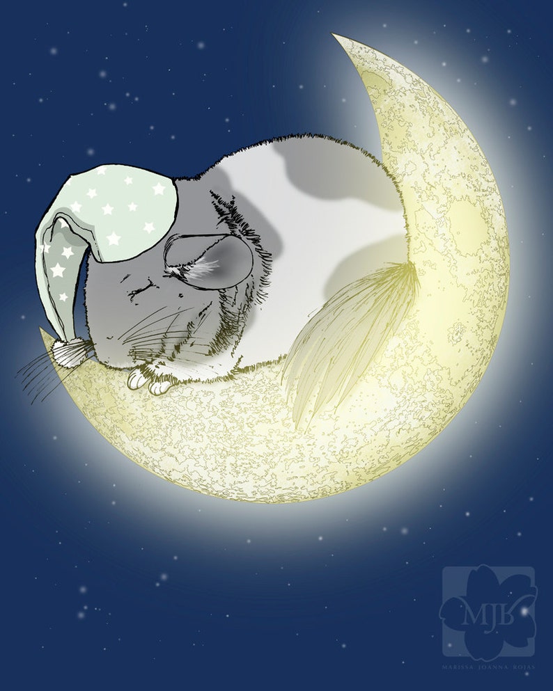 May include: A white chinchilla wearing a light blue and white sleep cap is sleeping on a crescent moon against a dark blue starry night sky.