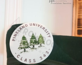 RFF Class 343 Sticker