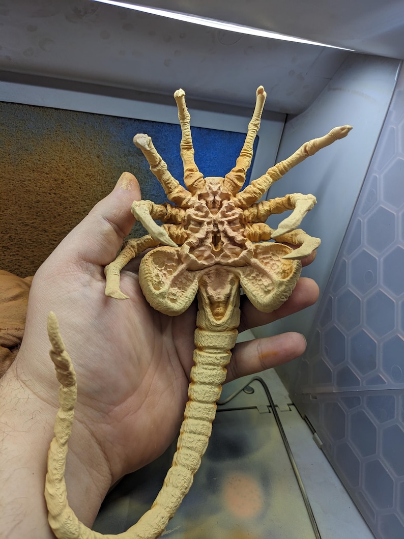 ALIEN Face Hugger Statue Hand Painted - Etsy Canada