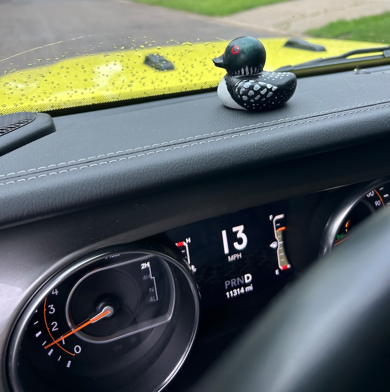 Loon Rubber Ducky Ride-Along image 5