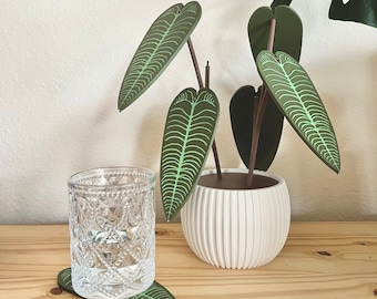 3D Printed Plant Coaster Set: Custom Variegated Leaf Design