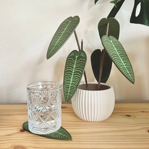 以下が含まれることがあります： 緑の葉の形をしたコースターと、白いプランターと大きな葉を持つ緑の植物。コースターは木でできており、自然な仕上げになっています。