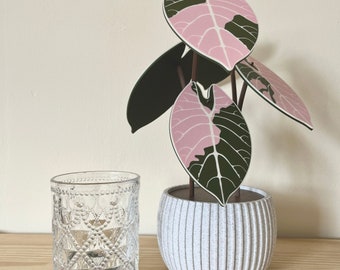 Alocasia Plant Coaster Set: 3D Printed Housewarming Gift