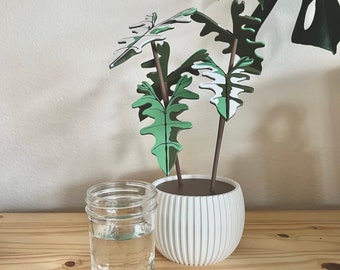 3D Printed Alocasia Jacklyn Plant Coaster Set: Custom Colors