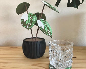 3D Printed Plant Coaster Set, Custom Color Housewarming Gift