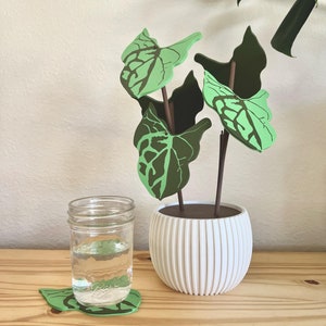 3D Printed Plant Coaster Set: Variegated Leaves, Waterproof Decoration