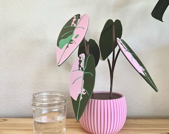 3D Printed Plant Coaster Set: Variegated Leaf Drink Coasters