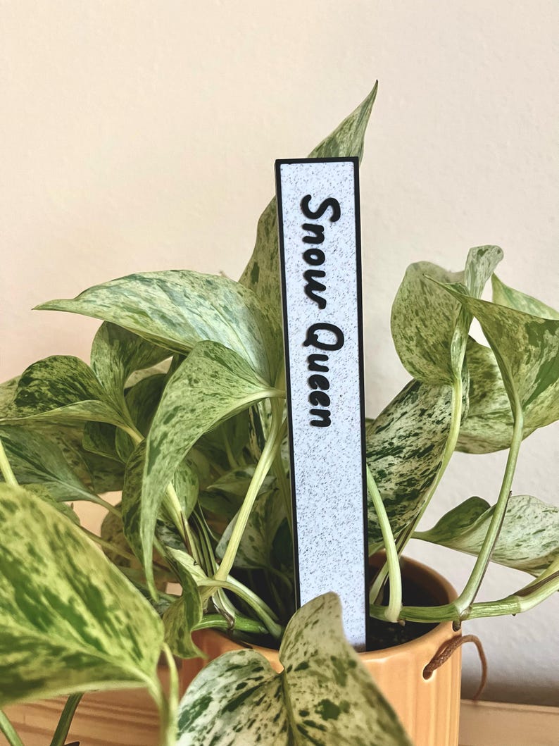 May include: A white plant marker with black text that reads "Snow Queen" is inserted into a potted plant with green and white variegated leaves.