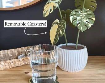 Monstera Thai Constellation Coasters: 3D Printed Plant Set