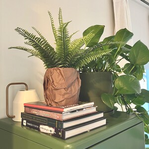 May include: A stack of books with titles "The New York Times Cookbook", "Everything I Know About Food", "The Thug Kitchen Cookbook", and "Eat Like You Give a Damn" sits on a green surface with two potted plants behind them. One plant is a fern in a brown paper bag and the other is a leafy plant in a green pot.