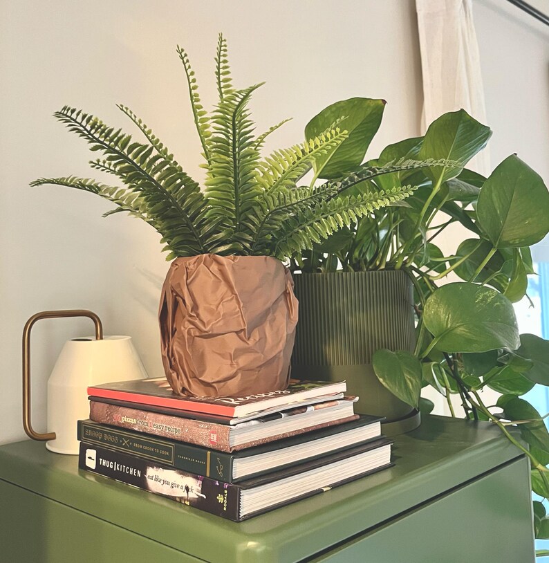 May include: A stack of books with titles "The New York Times Cookbook", "Everything I Know About Food", "The Thug Kitchen Cookbook", and "Eat Like You Give a Damn" sits on a green surface with two potted plants behind them. One plant is a fern in a brown paper bag and the other is a leafy plant in a green pot.