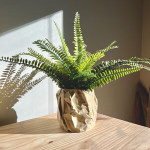May include: A green fern plant in a brown paper bag planter. The plant is sitting on a light brown wooden table.