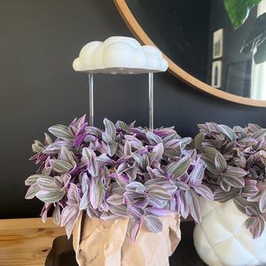 May include: A white cloud-shaped plant light fixture above a Tradescantia plant with purple, green, and white leaves. The plant is in a brown paper bag. A second plant in a white quilted pot is also visible.