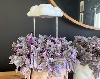 Rain Cloud Plant Waterer: Self-Watering, Decorative Plant Accessory