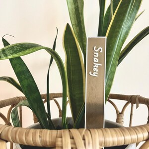 May include: A potted snake plant with green and yellow striped leaves in a woven wicker basket. A white tag with the word "Snakey" is inserted into the soil.