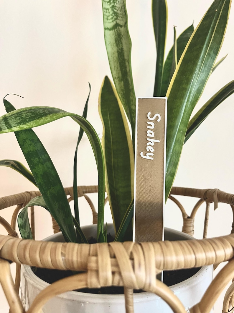 May include: A potted snake plant with green and yellow striped leaves in a woven wicker basket. A white tag with the word "Snakey" is inserted into the soil.