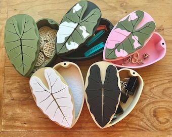 Alocasia Leaf Container: Variegated Indoor Plant Storage