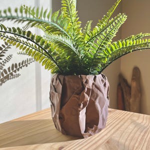 May include: A brown, textured ceramic planter with a green fern plant inside. The planter has a crumpled paper-like texture.