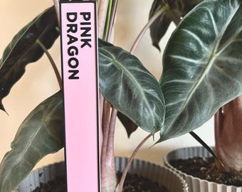 Custom Plant Label 3 Pack: Modern Garden Stakes