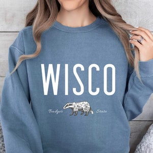 UW Madison Sweatshirt, Wisconsin Sweatshirt, Wisconsin Badgers Sweatshirt, Wisconsin Womens Shirt, Wisconsin Shirt, WI Badgers Sweatshirt