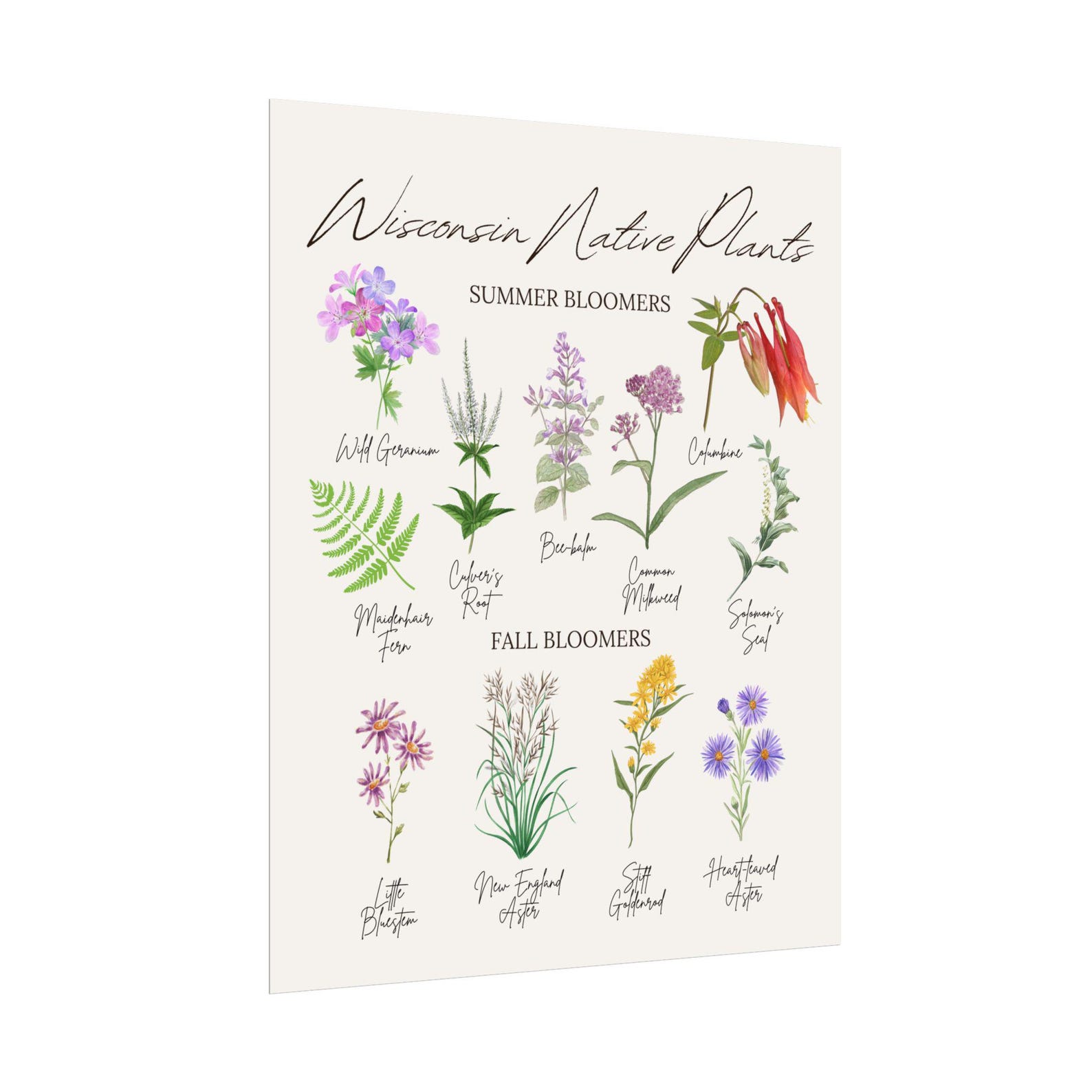 Wisconsin Wildflowers Art Wisconsin Native Plants Poster Madison Wall ...