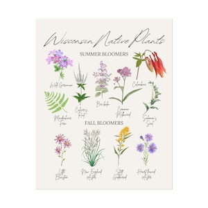 Wisconsin Wildflowers Art Wisconsin Native Plants Poster Madison Wall Art Wisconsin Merch Vintage Wisconsin