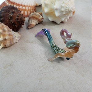 Pode incluir: Uma cole&ccedil;&atilde;o de conchas marinhas de v&aacute;rias formas e tamanhos, incluindo uma grande concha creme e v&aacute;rias conchas menores, castanhas e bege. Tamb&eacute;m est&aacute; presente uma escultura de arte em vidro colorida que se assemelha a um cavalo-marinho.