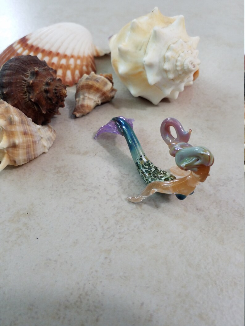 Pode incluir: Uma cole&ccedil;&atilde;o de conchas marinhas de v&aacute;rias formas e tamanhos, incluindo uma grande concha creme e v&aacute;rias conchas menores, castanhas e bege. Tamb&eacute;m est&aacute; presente uma escultura de arte em vidro colorida que se assemelha a um cavalo-marinho.