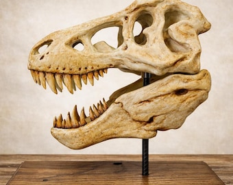 T-Rex Skull Replica – Handcrafted Dinosaur Fossil Sculpture, Museum-Quality Prehistoric Décor
