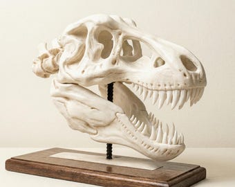 T-Rex Skull Replica – Handcrafted Dinosaur Fossil Sculpture, Museum-Quality Prehistoric Décor