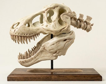 T-Rex Skull Replica | Hand Painted Dinosaur Fossil | Realistic Tyrannosaurus Rex Decor | Paleontology Science Gift