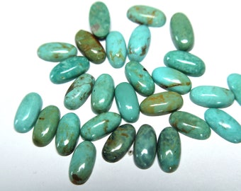 Sonoran Gold Turquoise Pairs-6x12 mm