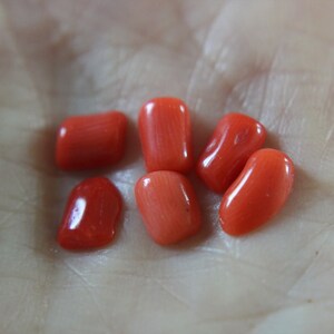 Small Freeform Red Coral Cabochons-6 pieces